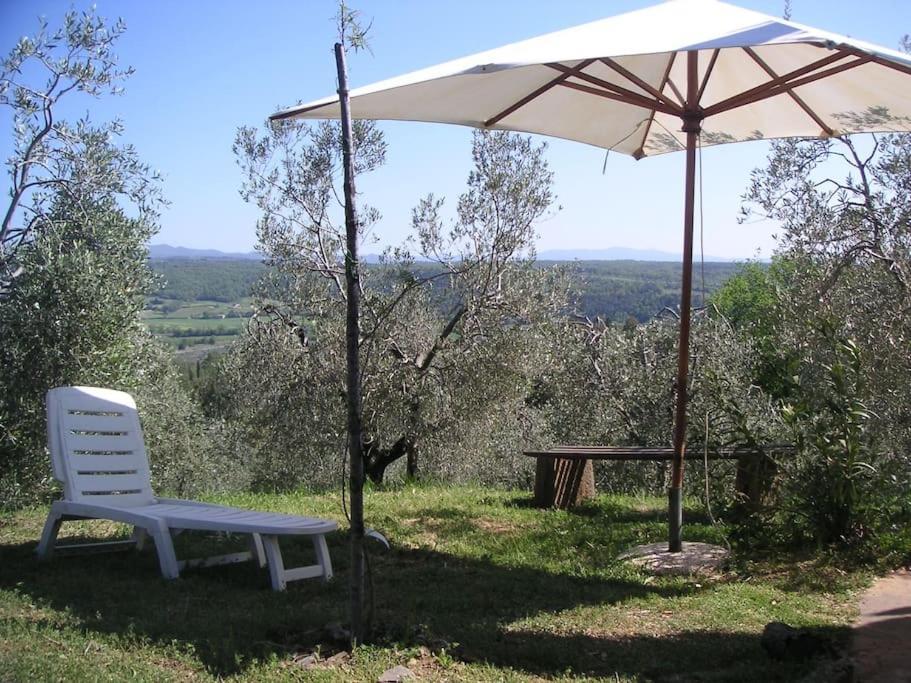 Casa Belvedere -Tranquillita Tra Bosco E Ulivi- Riparbella Exterior foto