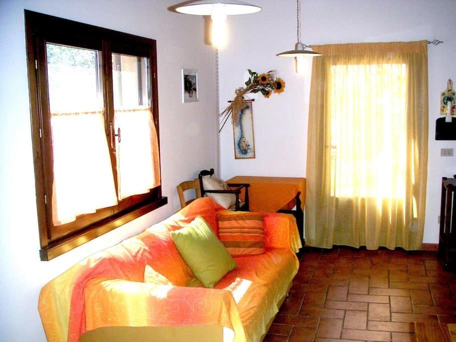 Casa Belvedere -Tranquillita Tra Bosco E Ulivi- Riparbella Exterior foto