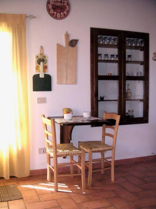 Casa Belvedere -Tranquillita Tra Bosco E Ulivi- Riparbella Exterior foto