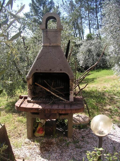 Casa Belvedere -Tranquillita Tra Bosco E Ulivi- Riparbella Exterior foto