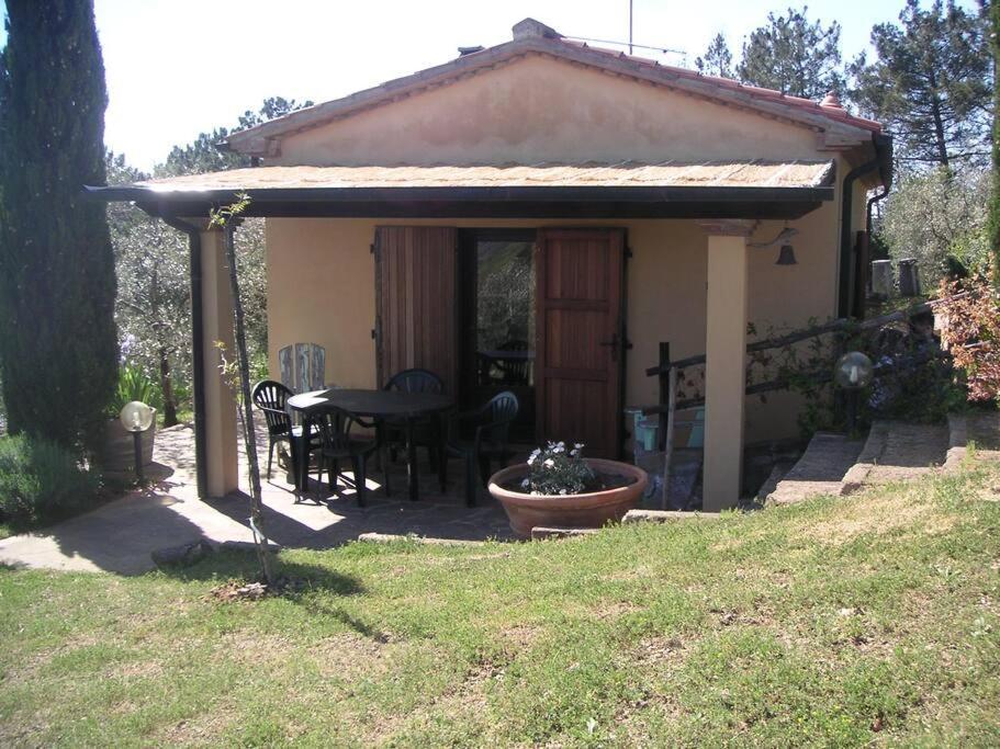 Casa Belvedere -Tranquillita Tra Bosco E Ulivi- Riparbella Exterior foto