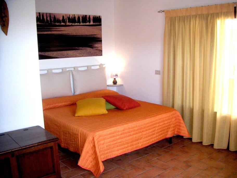 Casa Belvedere -Tranquillita Tra Bosco E Ulivi- Riparbella Exterior foto