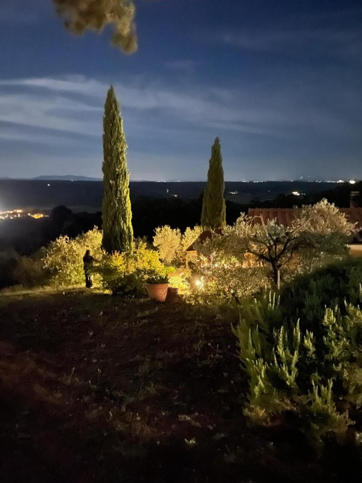 Casa Belvedere -Tranquillita Tra Bosco E Ulivi- Riparbella Exterior foto